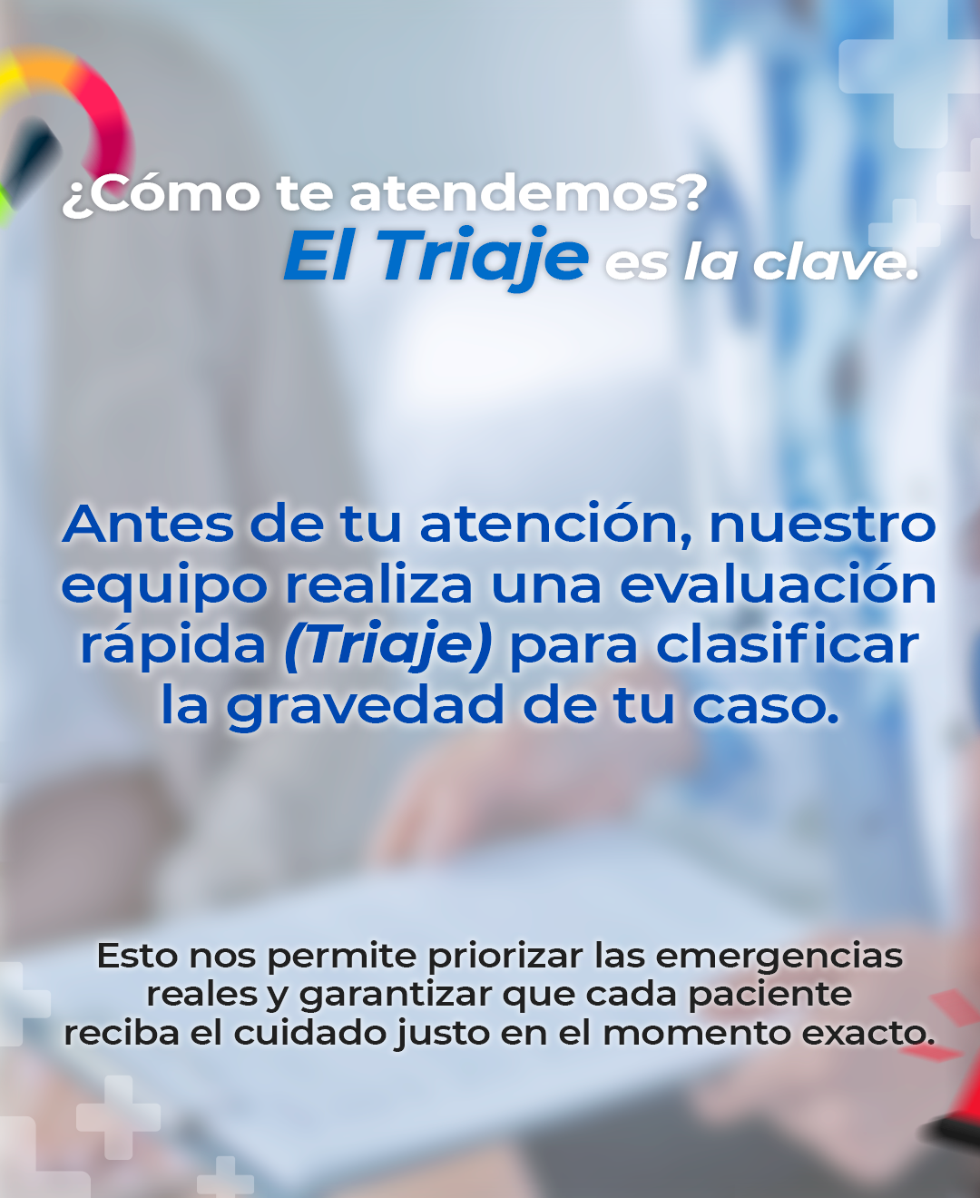 Consultas Especializadas